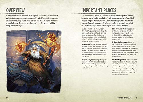 Dungeons & Tombs (Dungeons & Dragons): A Young Adventurer's Guide