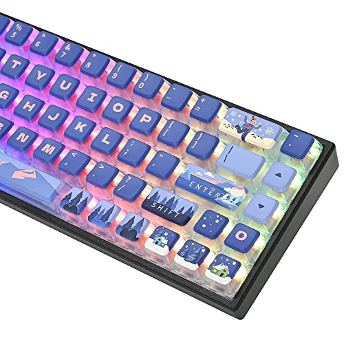 Polar Region ASA Custom keycaps ,118 Keys Double-Shot Key Cap Set for Cherry/Gateron MX switches 60 Percent / 64/61 Gaming Mechanical Keyboard(Polar Region Blue) - color: Polar region Blue