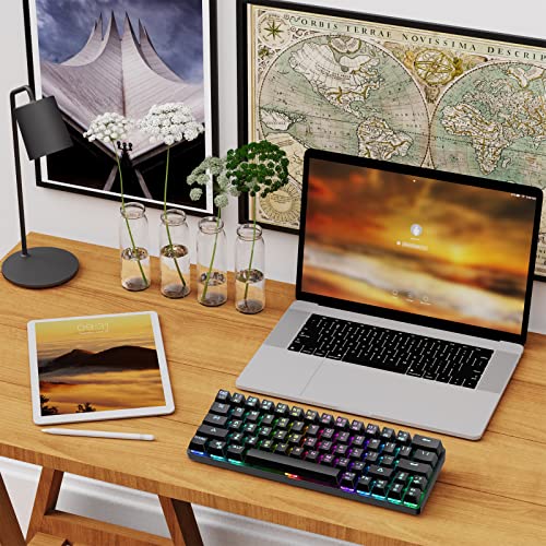 DIERYA DK63N 60% Wireless Wired Mechanical Gaming Keyboard, RGB Backlit Bluetooth Keyboard with Arrow Keys, 63 Keys Ultra-Compact, Programmable Brown Switch for Windows Laptop PC Mac