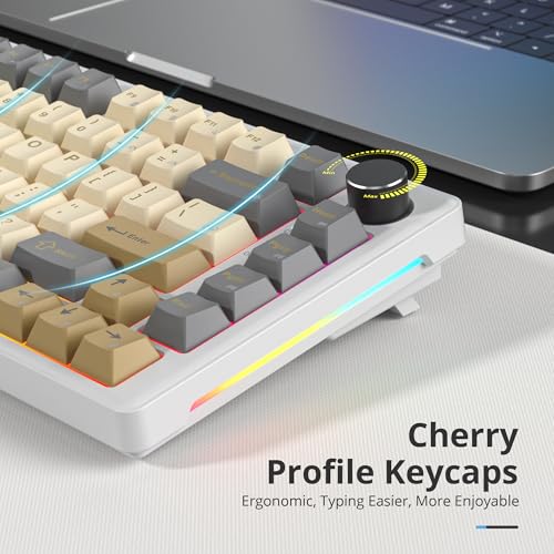 75% Retro Mechanical Keyboard Gasket with Knob, Custom Wired Creamy Gaming Keyboard TKL 75 Percent Hot Swappable RGB Backlit, Pre-lubed Switch for Win/MAC PC Laptop(Shimmer/White Switch) - color: Shimmer/White Switch