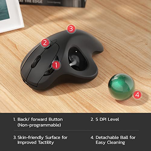 Nulea M501 Wireless Trackball Mouse, Rechargeable Ergonomic, Easy Thumb Control, Precise & Smooth Tracking, 3 Device Connection (Bluetooth or USB Receiver), Compatible for PC, Laptop, Mac, Windows. | Rechargeable rollerball mouse with Bluetooth USB receiv