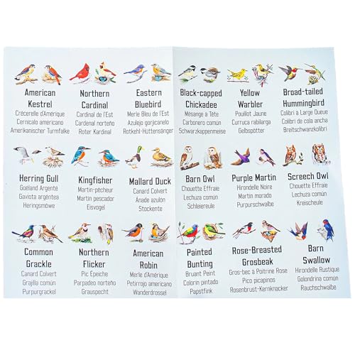 eeBoo Little Birds Memory & Matching Game, Ages 4+, 1-4 Players | Introduces common backyard bird species. Sharpens recognition, concentration & memory skills. Includes 36 tiles, 18 pairs - style: Birds