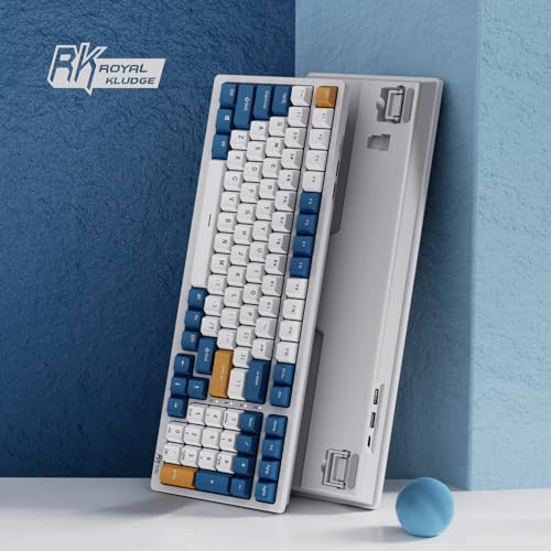 RK ROYAL KLUDGE RK98 Wireless Mechanical Keyboard, 100 Keys 98% Layout with Custom Switches Hot Swappable, Tri-Mode BT5.1/2.4G/USB-C Full Size Gaming Keyboard with Numpad RGB, Brown Switch - color: White, size: Hot Swap Brown Switch