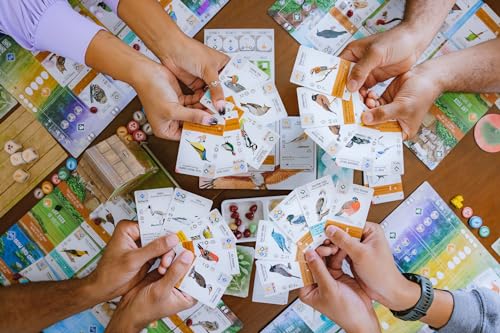 Stonemaier Games: Wingspan Asia by Elizabeth Hargrave | Standalone Game or Expansion to Wingspan | A Relaxing Game About Collecting Birds | Add to Wingspan for 6-7 Players | 1-2 Players, 70 Mins