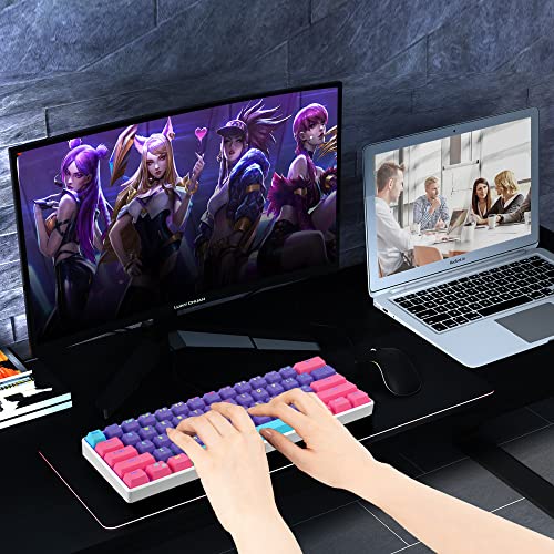 Protable 60% Percent Gaming Keyboard Mechanical, Mini Compact RGB Backlit 61 Keys Wired Office Keyboard with red Switch for Mac/Win (Purple/red Switch) - color: purple/red Switch