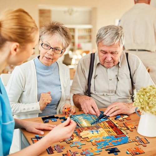 6 Pack 36-Piece Large Jigsaw Puzzles for Seniors Easy Dementia Alzheimer Products Dementia Activities Memory Training Game for Elderly Alzheimer's Patients in Nursing Home Gift (Style 1) - style: Style 1