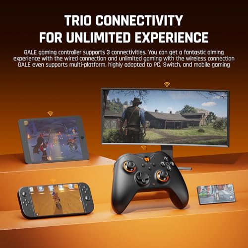 BIGBIG WON Wireless Controllers, Gale Hall PC Controllers Motion Control, Hall Joysticks&Triggers, PC App Game Controllers for Switch/Switch2/iOS/Android Wireless Gaming Controller - color: 2.Gale-Hall Standard Black