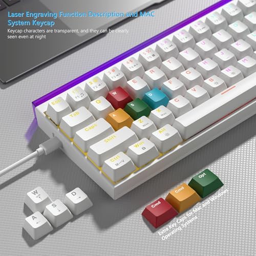 Womier 60% Percent Keyboard with Light Box,Wired Keyboard Gaming Mechanical | with MCA Keycaps,OEM Profile,Programable,64 Keys Hot Swap RGB Cream Key board for PC Computer WIN/MAC,WK68 PRO-White - color: WK68-White