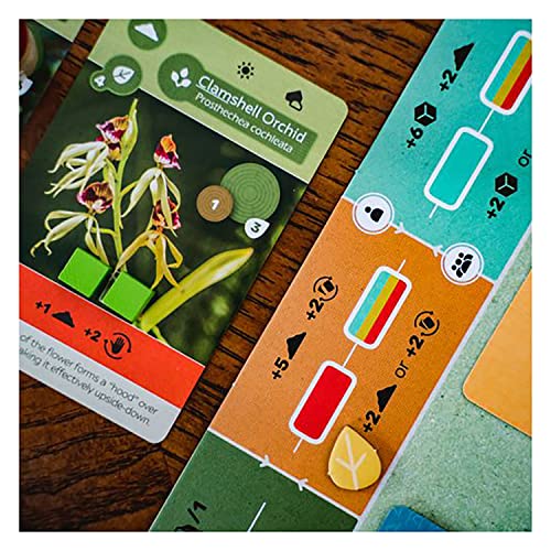 Inside Up Games Earth | Board Game of the Year 2023 | Ecosystem Building, Card Drafting, Action Selection | Create Amazing Natural Synergies | 1 to 5 Players | 45 to 90 Minute | Age 13+
