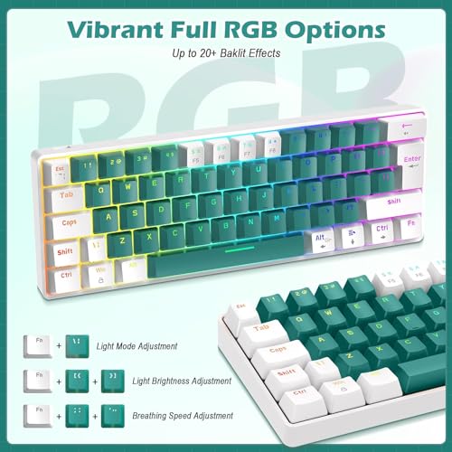RK-T60 Wired 60% TKL Mechanical Gaming Keyboard Led Rainbow Backlight Ultra-Compact NKRO Linear Red Switch ABS Keycap RGB Honeycomb Mice Coiled Aviator Cable for Windows Laptop PS4/PC/WIN Gamer - color: Green/Blue Switch