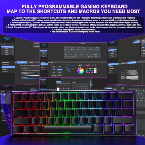 Aula WIN60 HE - 60% Mechanical Gaming Keyboard Wired, Magnetic Switch Hot Swappable, Adjustable Actuation Rapid Trigger Mode, 8000 Hz Polling Rate, RGB Small Keyboard 60 Percent Compact Design for PC - color: WIN60HE-Black Side