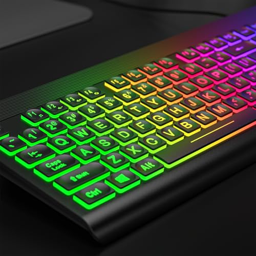 Atelus Large Print Backlit Keyboard, USB Wired Computer Keyboard, Full Size Keyboard with Rainbow Illuminated LED Compatible for Windows Desktop, Laptop, PC, Gaming, Black - color: Black-Rainbow Light