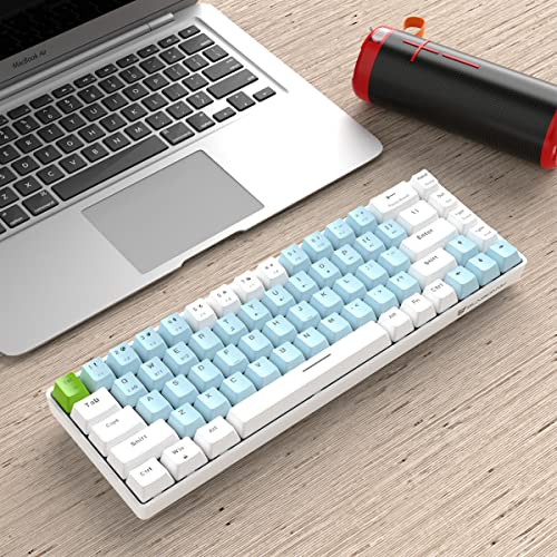 Qisan Mechanical Gaming Keyboard Dual Mode 2.4G/BT Wireless Keyboard with Blue Switch Mini Design (60% Keyboard) 68 Keys Computer Keyboard US Layout | Gaming Pc | Wireless Gaming Keyboard - color: Blue Switch Blue & White Combo Color