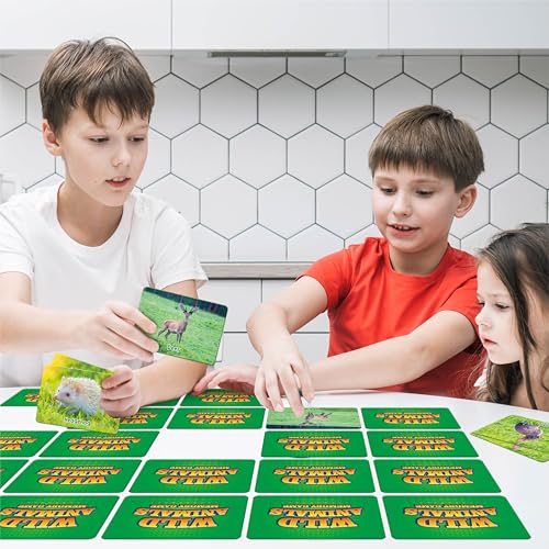 Hebayy Wild Animal Matching Game, 80 PCS Realistic Animal Memory Matching Cards for Toddlers 40 Pairs Real Animal Memory Cards Educational Toys for Preschool Boys & Girls 4 5 6 Years Old - style: Animal