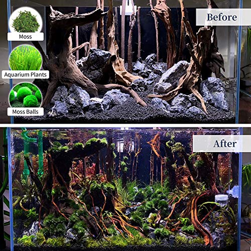 majoywoo Natural Large Driftwood for Aquarium Decor Reptile Decor, Fewer Branches 12.5-18" 2Pcs - size: Mopani Driftwood 12.5 to 18 Inch (Pack of 2)