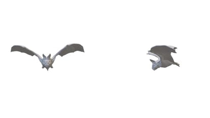 Set of 5 Small Animal Miniatures for DND Pathfinder RPG Unpainted Resin 28mm-32mm (Bat)