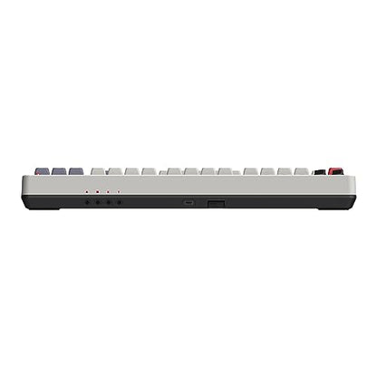 8Bitdo 87 Keys Retro Mechanical Keyboard Bluetooth/2.4G/USB-C, Hot Swappable, Dual Super Programmable Buttons, Volume knob for Windows and Android - N Edition - color: N Edition