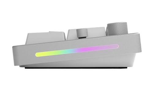 GLORIOUS GMMK Mechanical Numpad- 10 Key USB Programmable Keypad - Hot Swappable, Volume Control, RGB Backlit, Wired & Wireless Bluetooth - Laptop & Keyboard Accessories- White - color: White Ice