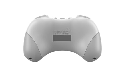 Retro Fighters D6 Dreamcast Wireless Controller for Switch/PC/Dreamcast, White - color: White