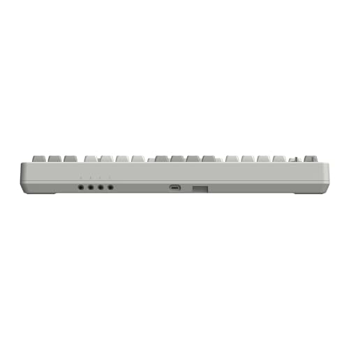 8Bitdo 87 Keys Retro Mechanical Keyboard Bluetooth/2.4G/USB-C, Hot Swappable, Dual Super Programmable Buttons, Volume knob for Windows and Android - M Edition - color: M Edition
