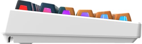 msi Forge GK600 TKL W Mars US - Mechanical Linear SWITCHES - Dye-Sublimated PBT Keycaps, Anti-Slip Base, RGB LED, USB 2.0, Bluetooth, 2.4 GHz - Tenkeyless - style: FORGE GK600 TKL W MARS US