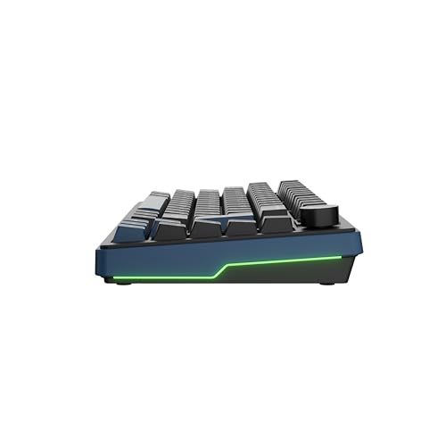 Ducky OK-M - 75% Wireless Mechanical Gaming Keyboard : Gasket-Mount Design, Hot-Swappable Switches, Five-Layer Acoustic Dampening, RGB, USB-C, 2.4Ghz, Bluetooth, Baby Switch - size: OK-M-75, style: KTT Baby Switch