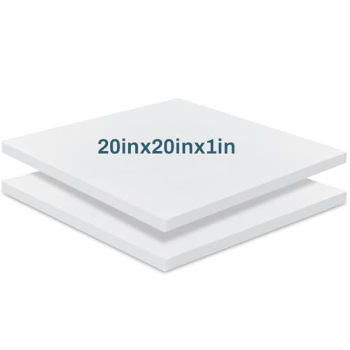 Frienda 2 Pack 1" x 20" x 20" Upholstery High Density Foam Cushion Replacement Square Cut to Size Foam Couch for Chair Couches Padding Shipping Packing DIY Cosplay Projects(White) - color: White, size: 1" X 20" X 20", style: Square