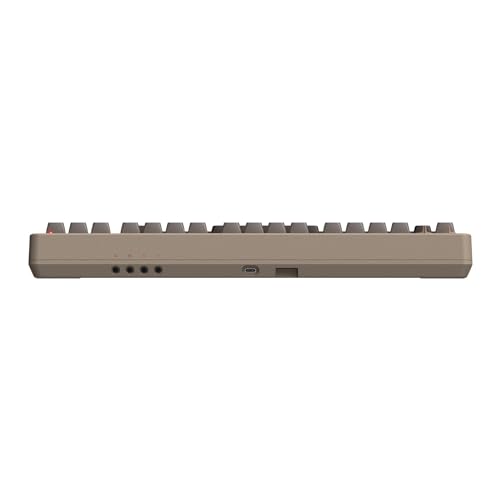 8Bitdo 87 Keys Retro Mechanical Keyboard, Bluetooth/2.4G/USB-C Hot Swappable Gaming Keyboard with Dual Super Programmable Buttons and Super Stick, Volume knob for Windows and Android - C64 Edition - color: C64 Edition