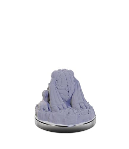WizKids D&D Nolzur's Marvelous Miniatures: Intellect Devourers Dungeons and Dragons Unpainted Miniatures - style: Intellect Devourers