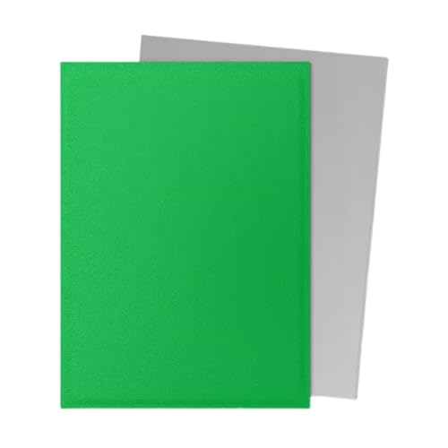 Dragon Shield | Matte Dual Standard Size Card Sleeves | 100ct - Smooth & Tough Premium TCG Sleeves - Compatible with Pokemon, One Piece, and Magic: The Gathering | Apple Green & Silver - color: Apple Green & Silver