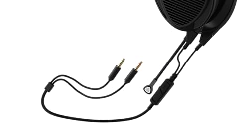 ASUS ROG Kithara Gaming/Audiophile Open-Back Wired Headphones with Mic – ROG-Tuned HIFIMAN Planar Magnetic Drivers, Adjustable Headband, Extra Ear Pads, Compatible with DACs, Amps, PC, Console, Mobile