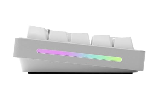 GLORIOUS GMMK Mechanical Numpad- 10 Key USB Programmable Keypad - Hot Swappable, Volume Control, RGB Backlit, Wired & Wireless Bluetooth - Laptop & Keyboard Accessories- White - color: White Ice