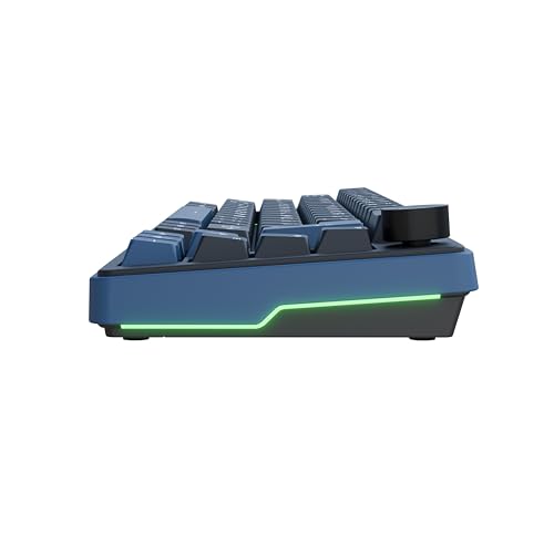 Ducky OK-M - 65% Wireless Mechanical Gaming Keyboard : Gasket-Mount Design, Hot-Swappable Switches, Five-Layer Acoustic Dampening, RGB, USB-C, 2.4Ghz, Bluetooth, Baby Switch - size: OK-M-65, style: KTT Baby Switch