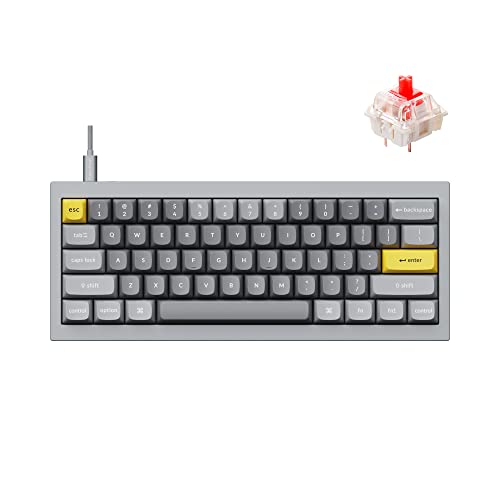 Keychron Q4 Wired Custom Mechanical Keyboard, QMK/VIA Programmable Macro, Full Aluminum, Hot-Swappable Gateron G Pro Red Switch, 60% Layout Double Gasket Compatible with Mac and Windows - Blue - color: Gray (Gateron G Pro Red Switch)