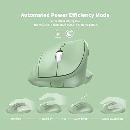 Ergonomic Wireless Mouse with USB Receiver for PC Computer, Laptop and Desktop, Ergo Vertical Mouse with Silent Clicks Long Battery Life, Up to 1600 DPI & 1 AA Battery Powered, Green - color: Green, size: USB Wireless