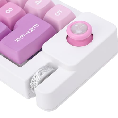Fabater Mechanical Number Pad, Wired USB Numeric Keypad with 12 RGB LED Backlight and Joystick Roller, 12 Keys Macro Keyboard for Laptop PC Gaming, Numpad for Laptop Computer (Purple) - color: Purple
