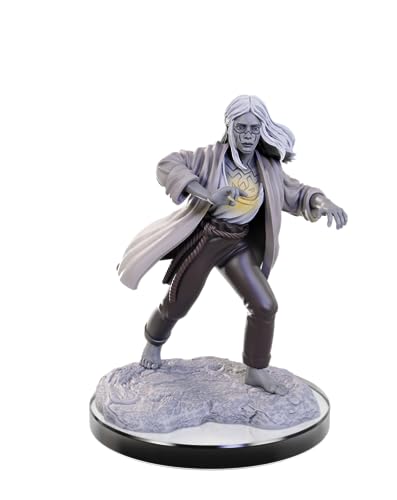 WizKids D&D Nolzur's Marvelous Miniatures: Reborn Paladin & Warlock Dungeons and Dragons Unpainted Miniatures - style: Reborn Paladin & Warlock