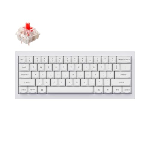 Keychron Q4 Wired Custom Mechanical Keyboard, QMK/VIA Programmable Macro, Full Aluminum, Hot-Swappable Gateron G Pro Red Switch, 60% Layout Double Gasket Compatible with Mac and Windows - White - color: White (Gateron G Pro Red Switch)