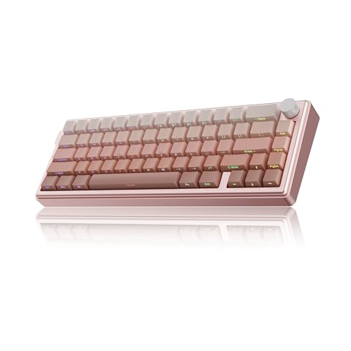 KY65 Wireless Mechanical Keyboard,65% Gasket Hot Swappable Custom Keyboard,RGB Backlit,Pre-lubed Gateron Switches,Side Printed PBT Keycaps,2.4GHz/TYPE-C/BT5.0 Mechanical Gaming Keyboards, Pink&Brown