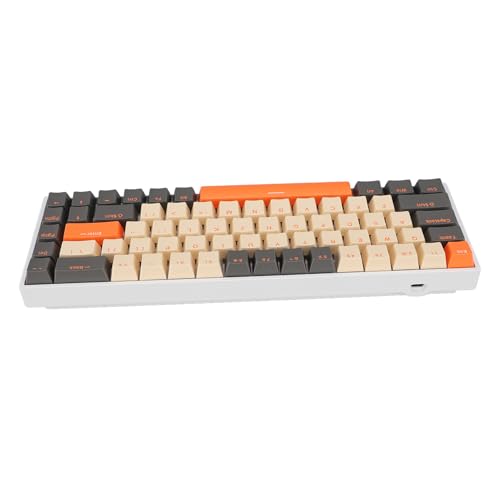 60 Percent 68 Keys Mechanical Keyboard, RGB Backlit Ergonomic Type C Wired Gaming Keyboard for Computer with Red Switch, Hot Swappable Compact Design for Home Office