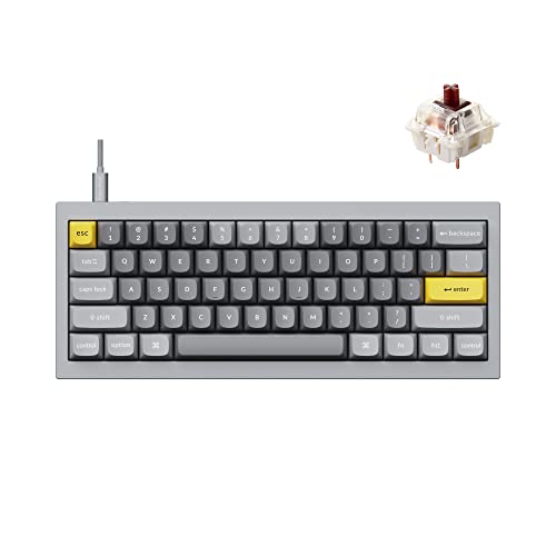 Keychron Q4 Wired Custom Mechanical Keyboard, QMK/VIA Programmable Macro, Full Aluminum, Hot-Swappable Gateron G Pro Brown Switch, 60% Layout Double Gasket Compatible with Mac and Windows - Blue - color: Gray (Gateron G Pro Brown Switch)