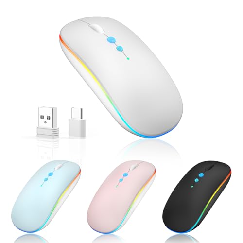 Halpilt LED Wireless Mouse A100S Rechargeable Portable Silent Mouse with Optional USB and Type-C Receiver 3-Speed Adjustable DPI for PC/Mac/Laptop (Frosted Silver) - color: Frosted silver