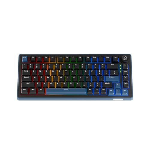 Ducky OK-M - 75% Wireless Mechanical Gaming Keyboard : Gasket-Mount Design, Hot-Swappable Switches, Five-Layer Acoustic Dampening, RGB, USB-C, 2.4Ghz, Bluetooth, Wine Red Switch - size: OK-M-75, style: KTT Wine Red Switch