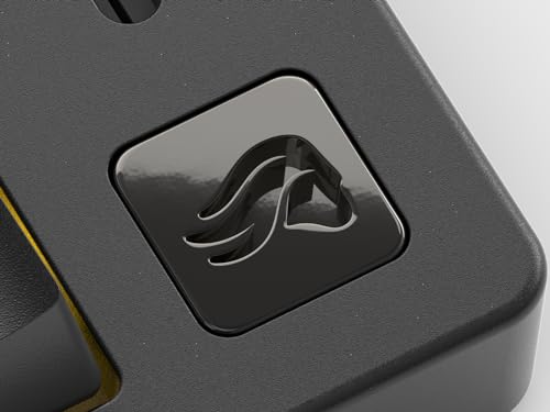 GLORIOUS GMMK Macro Pad - Black Mechanical Numpad - 10 Key USB Keypad - Hotswap, Programmable Volume Knob, RGB Backlit, Wired & Wireless Bluetooth- Gaming Keyboard Number Pad - color: Black Slate