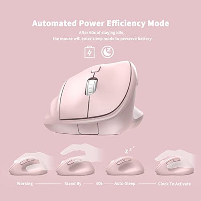MICROPACK Digitally Yours Ergonomic Wireless Mouse with USB Receiver for PC, Laptop and Desktop, Pink - color: Pink, size: USB Wireless
