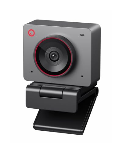 OBSBOT Meet 2-4K Webcam for PC with 1/2" Sensor, AI Framing & Autofocus | Beauty Mode, Lightweight, Gesture Control, HDR, Dual Microphone, 60 FPS, Web Cam for Streaming, Meeting, Gaming. (Space Grey) - color: Meet 2 Grey