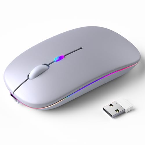 KANMABPC Wireless Bluetooth Mouse, Silent Dual Mode Mouse(Silver) | Supports Bluetooth 5.2 and 2.4G dual-mode, ergonomic design with LED indicator - portable, for Laptop, Desktop & Tablet - color: Silver