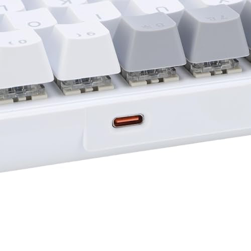 Zopsc 60 Percent Mechanical Gaming Keyboard, 68 Keys Compact RGB Backlit Blue Switches, Wired Keyboard for PC Laptop Typing - color: Yellow Gray White