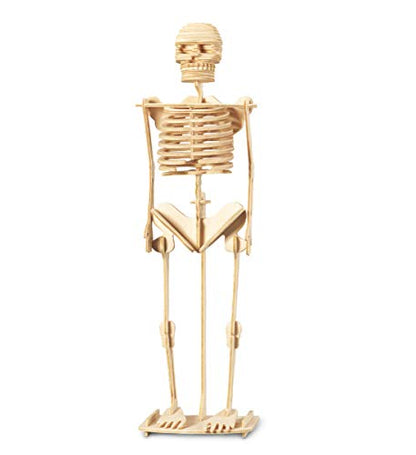 Puzzled 3D Puzzle Human Skeleton Wood Craft Construction Model Kit, Fun & Educational DIY Wooden Toy Assemble Model Unfinished Crafting Hobby Puzzle to Build & Paint for Decoration 50 Pieces Pack