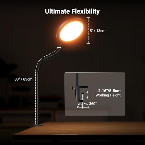 NEEWER Entry Level Version 5" Edge Lit Streaming Light with Desk Clamp Stand, 10W Bi Color Full Screen LED Ring Light CRI80+, Computer Laptop Webcam Zoom Call Video Conference Recording Lighting, N32